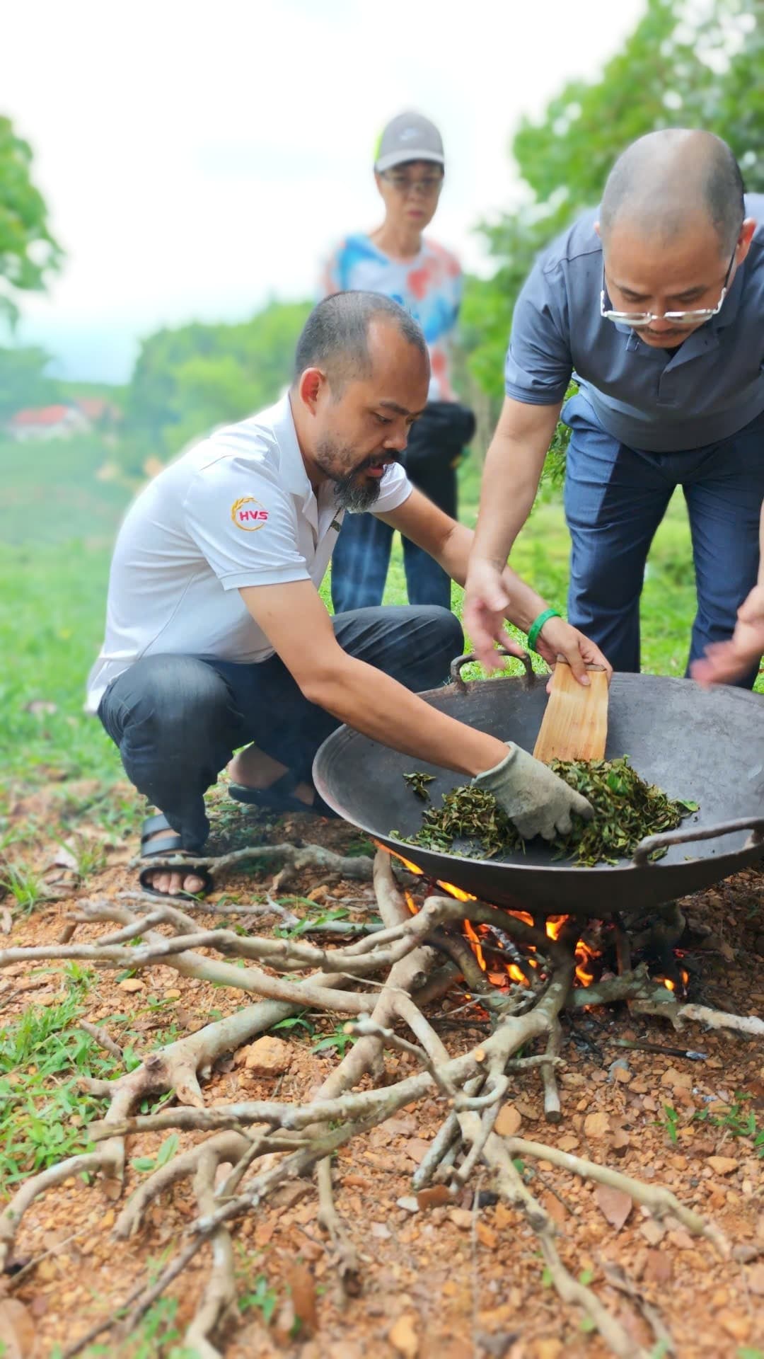 Hoạch định phát triển vùng đất